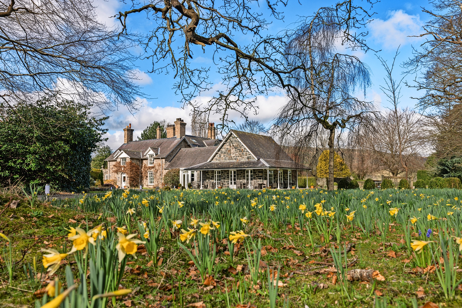 Charming exterior of Tyddyn Llan with daffodils.