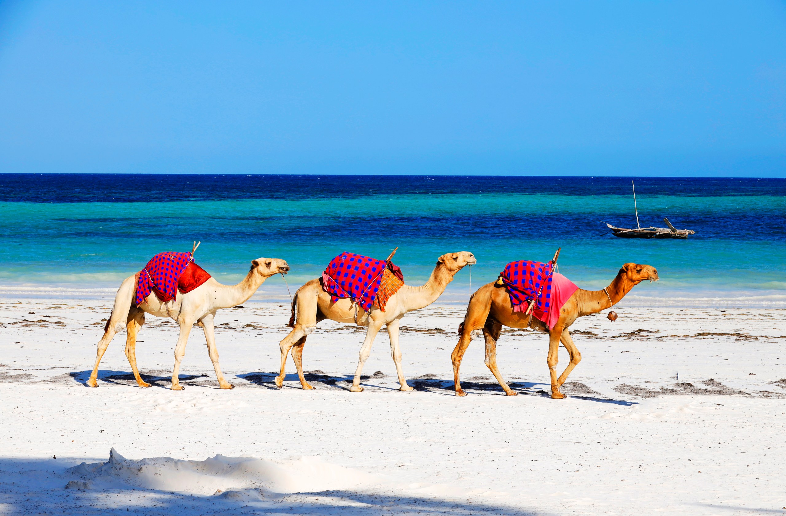 Diani Beach, a tropical paradise in Kenya.