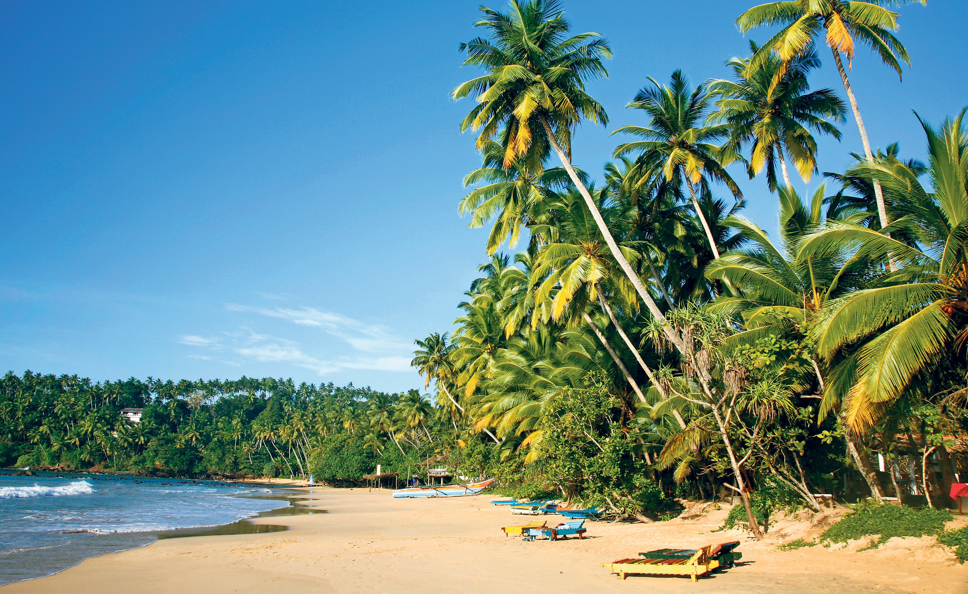 Tropical beach with palm trees and boats.