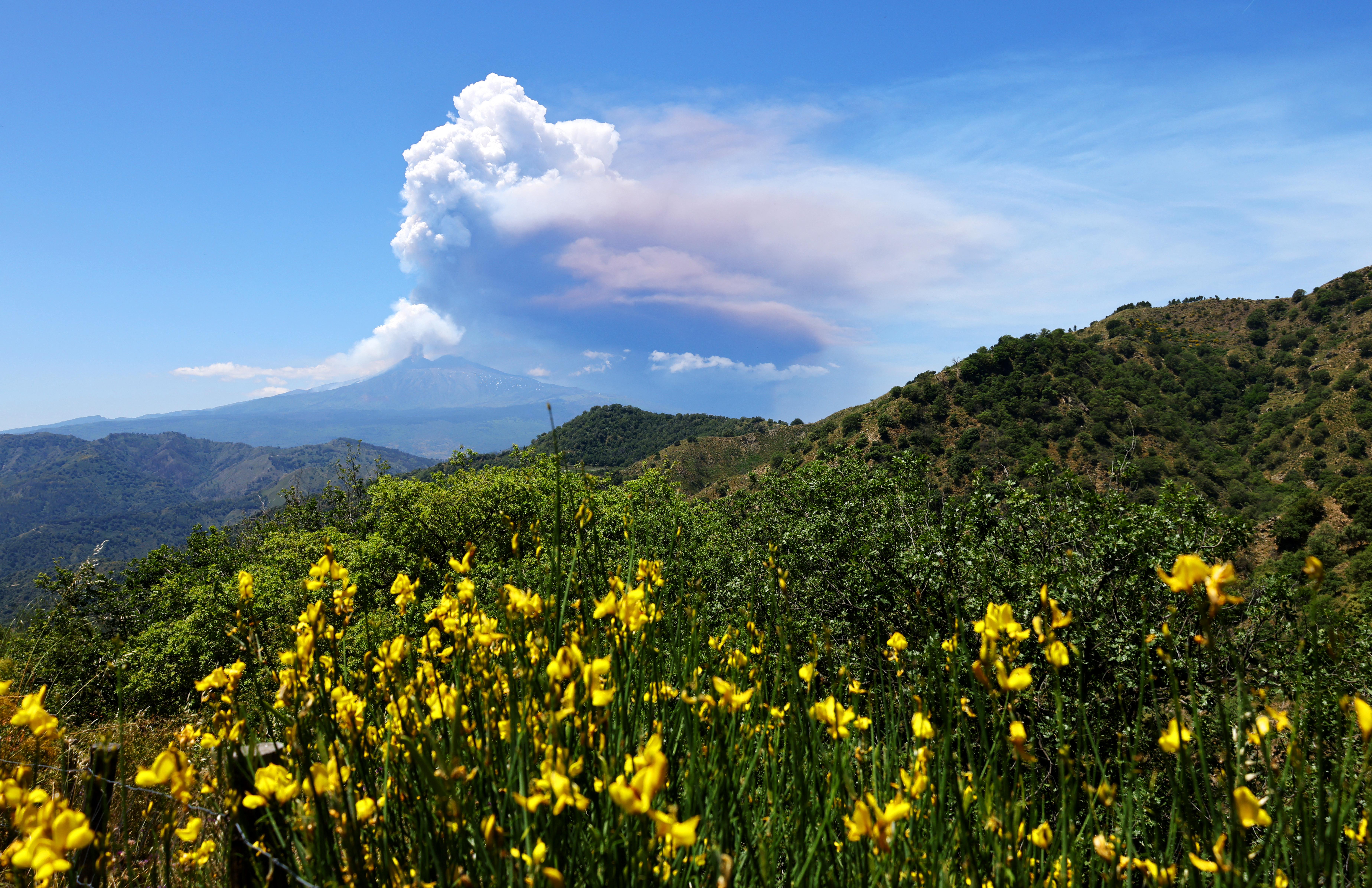 Mount Etna erupting amid wildflowers in the foreground.