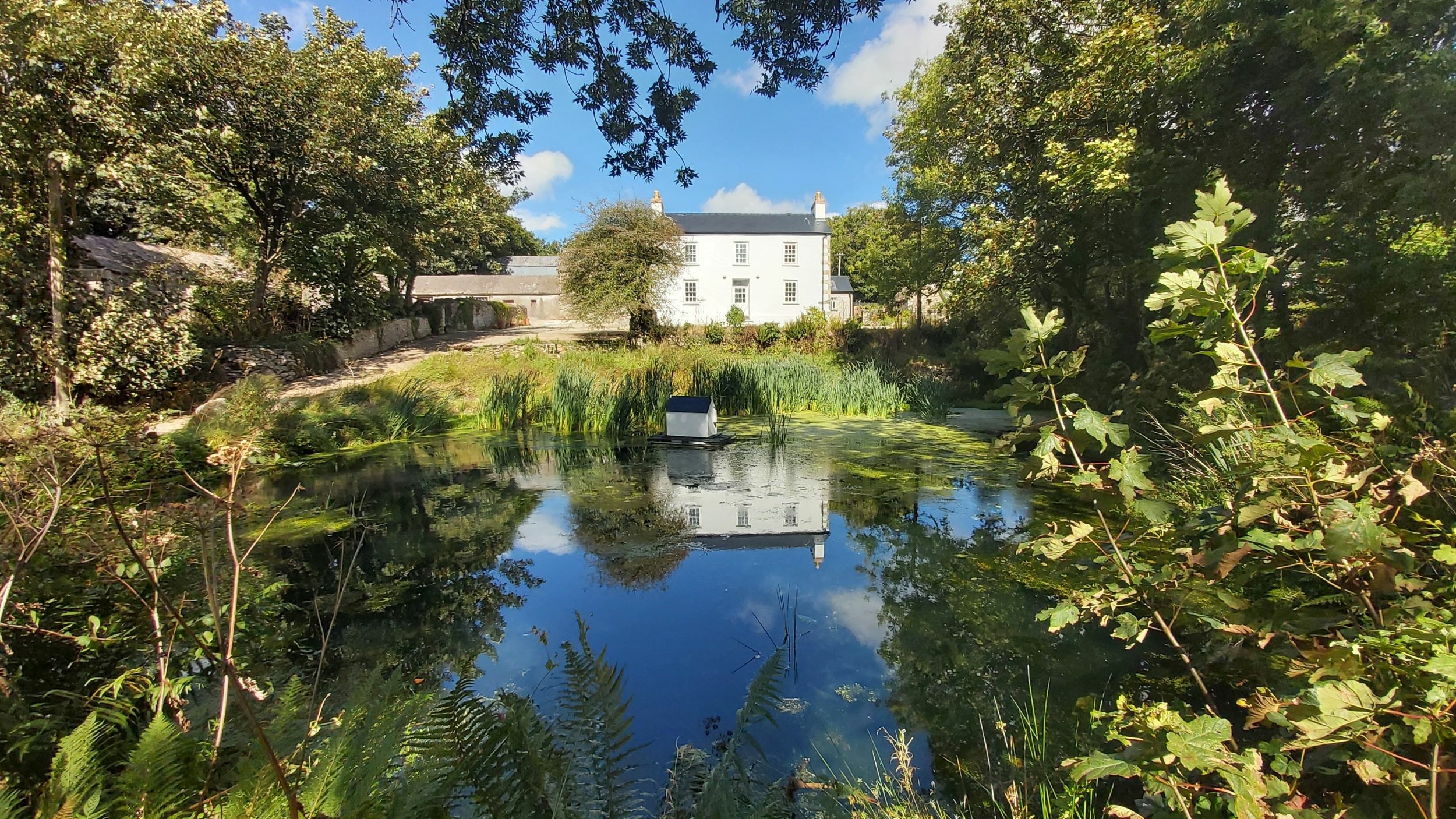 Hen Ffermdy farmhouse reflected in water.