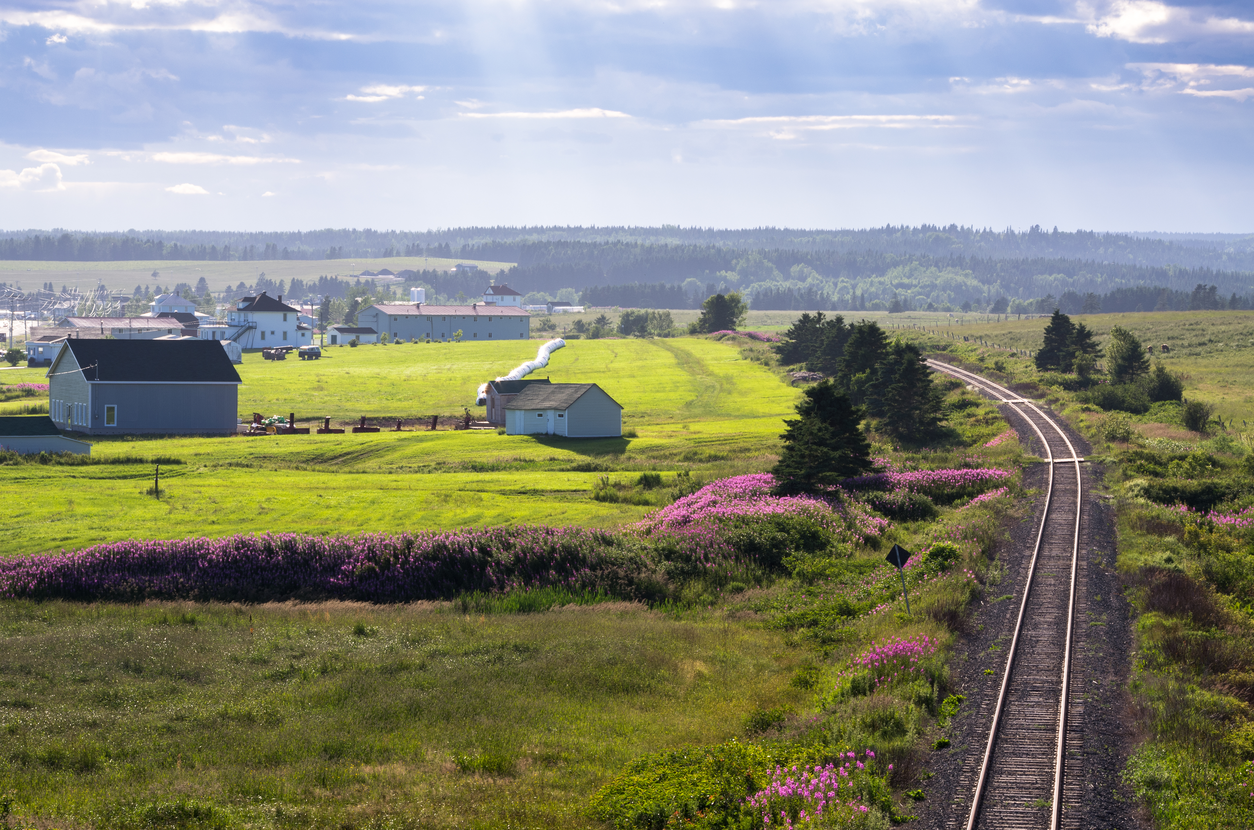 Train tracks running through a rural landscape.